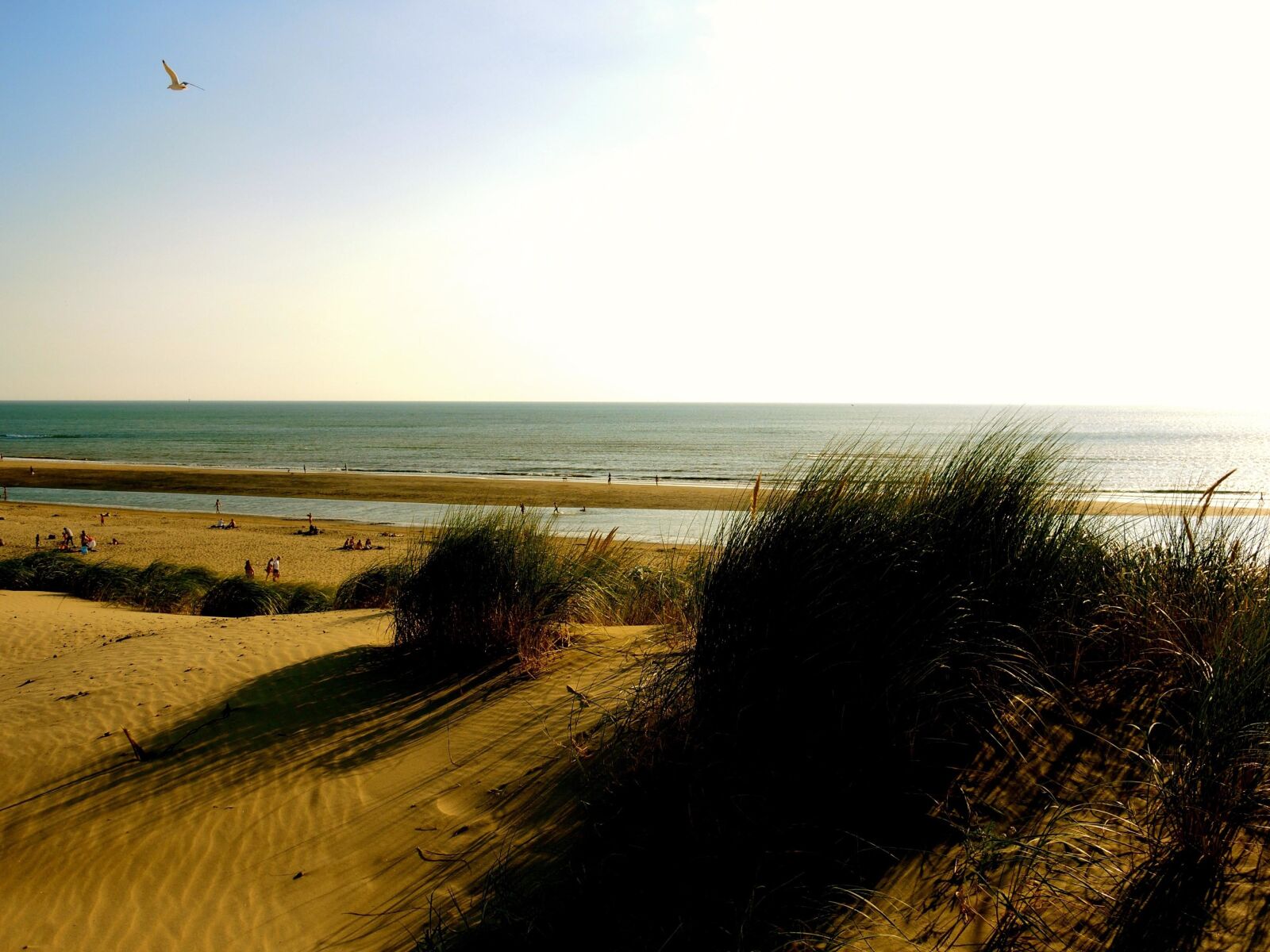 Nikon Coolpix P7700 sample photo. Beach, water, sunset, sea photography