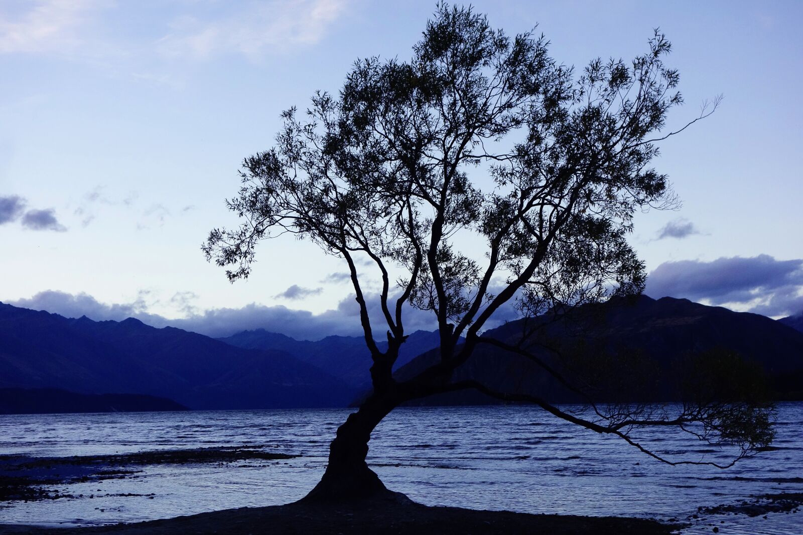 Sony Cyber-shot DSC-RX100 sample photo. Nature, new zealand, wanaka photography