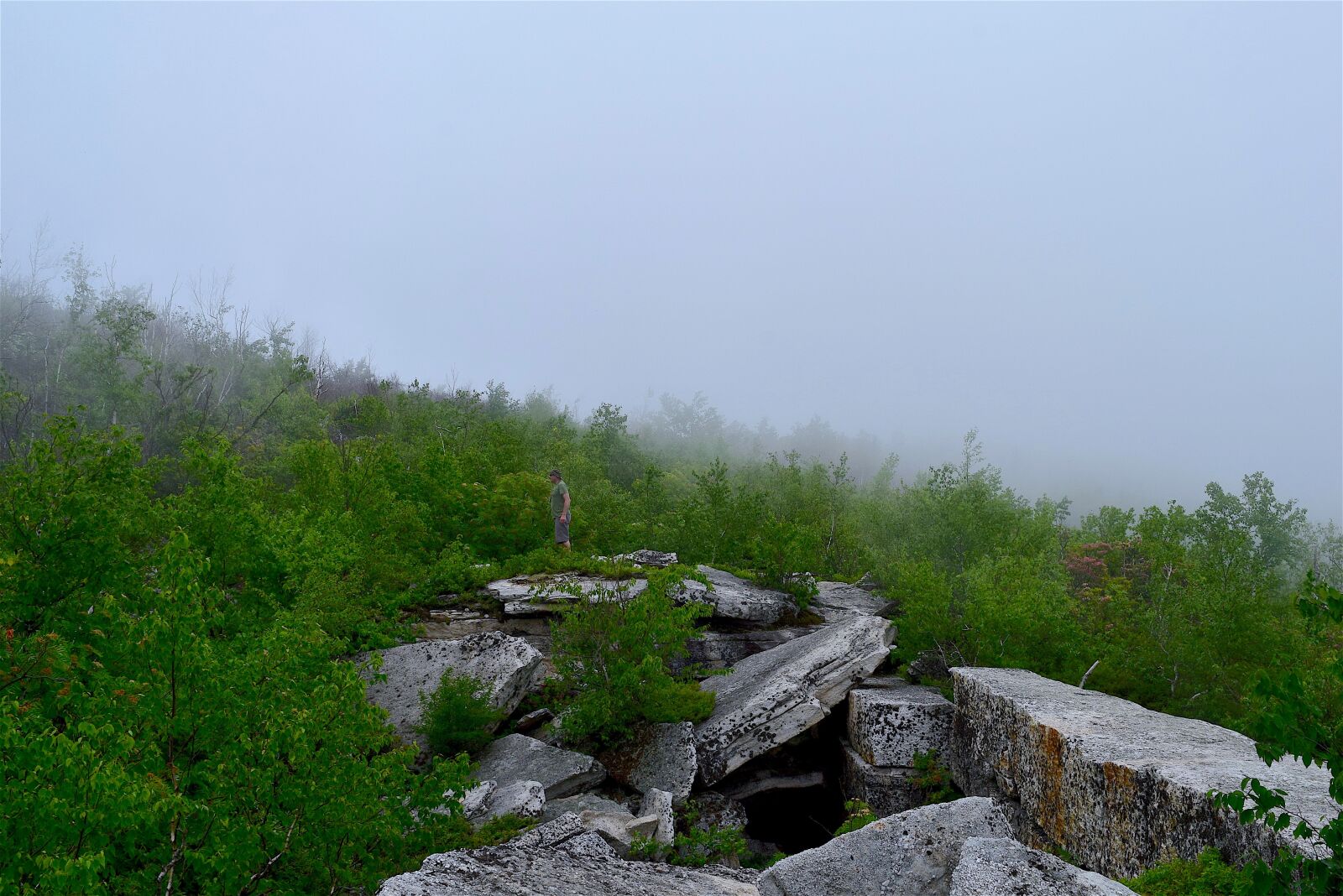 Nikon D3300 sample photo. Fog, forest, stone photography
