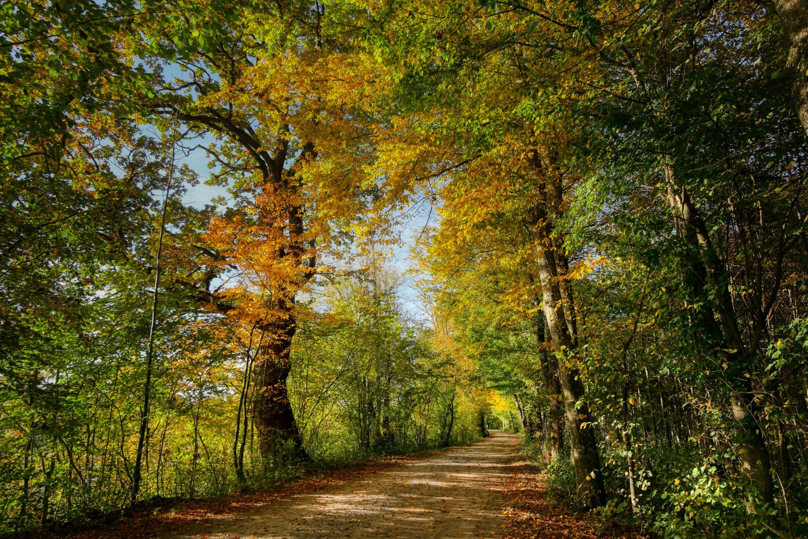 Panasonic Lumix DC-G90 (Lumix DC-G91) sample photo. Autumn, away, hiking photography