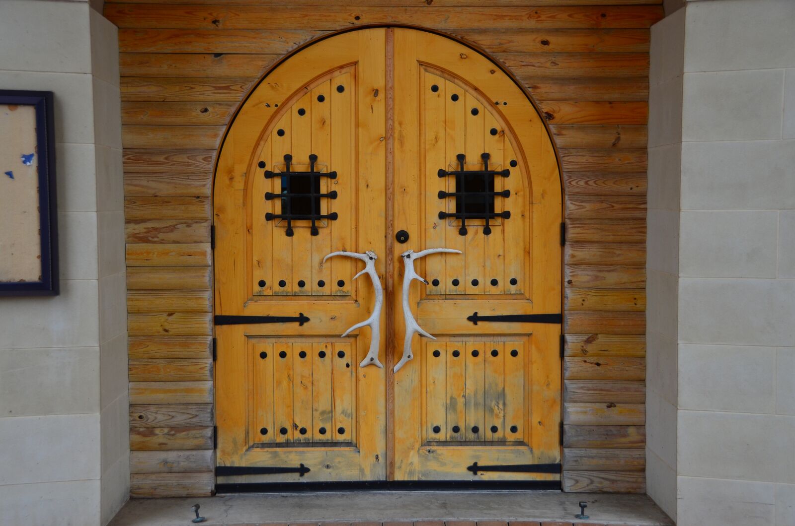 Nikon D7000 sample photo. Door, antlers, wood photography