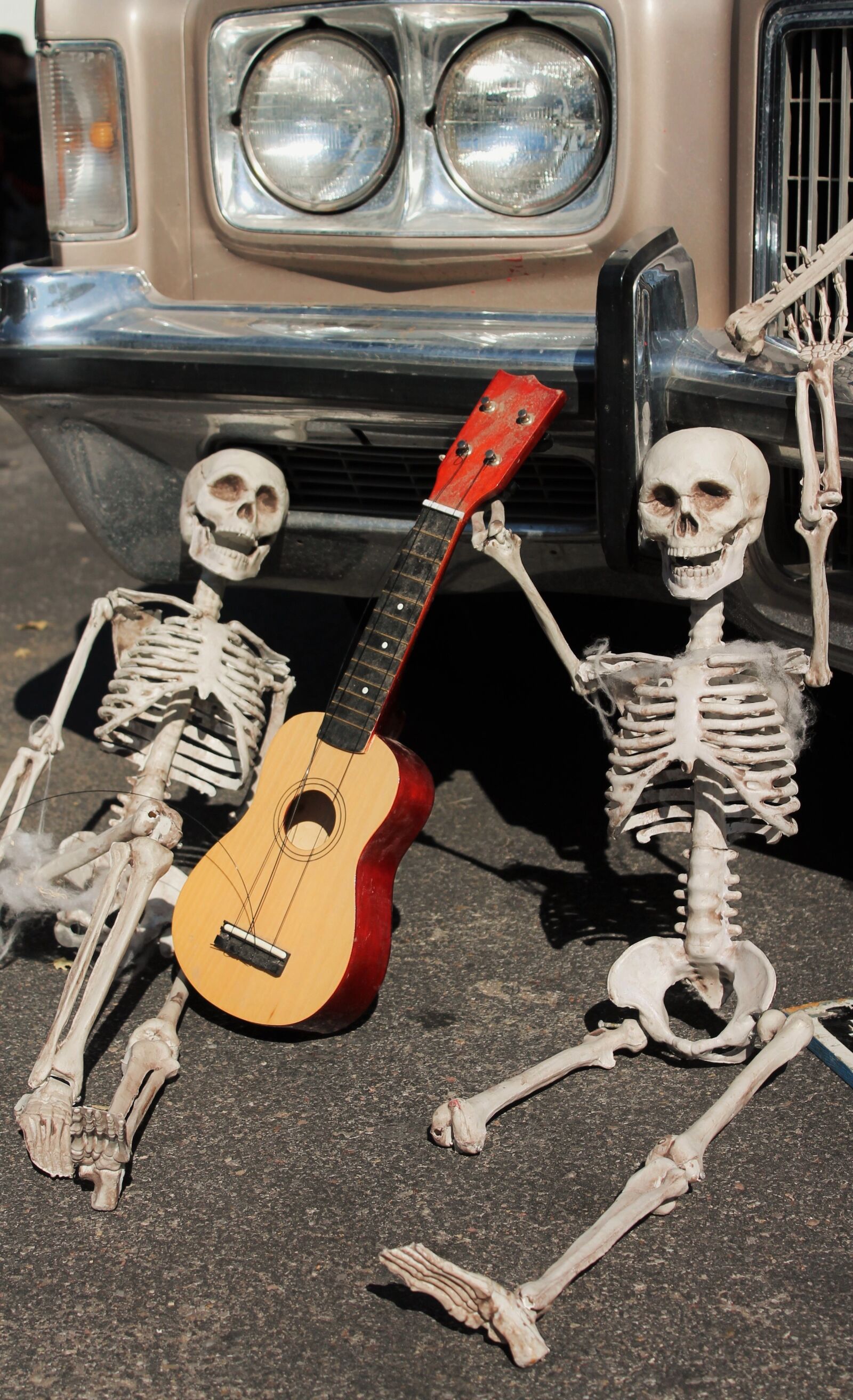 Canon EOS 1100D (EOS Rebel T3 / EOS Kiss X50) sample photo. Skeletons, afterlife, dia de photography