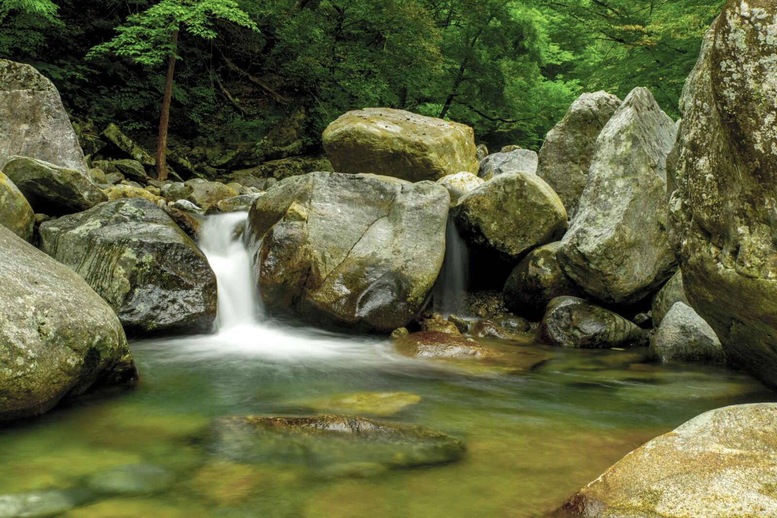 Tamron SP 24-70mm F2.8 Di VC USD sample photo. Jiri, valley, korea's natural photography
