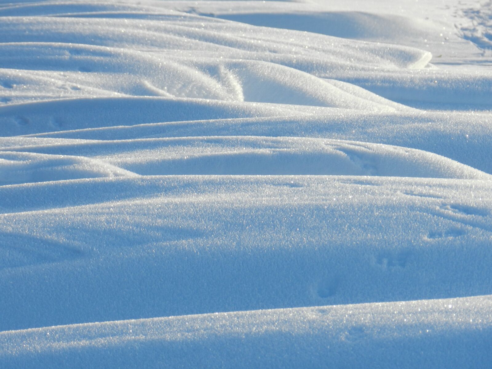 Nikon Coolpix P500 sample photo. Nature, snow, winter photography