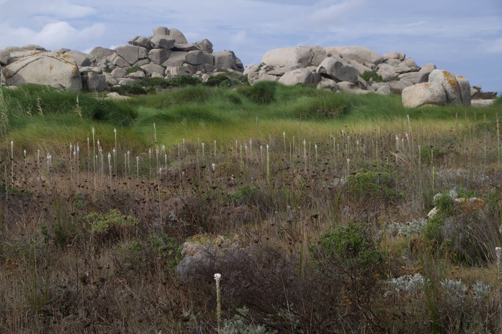 Pentax KP sample photo. Corsican, lavezzi isles, rocks photography