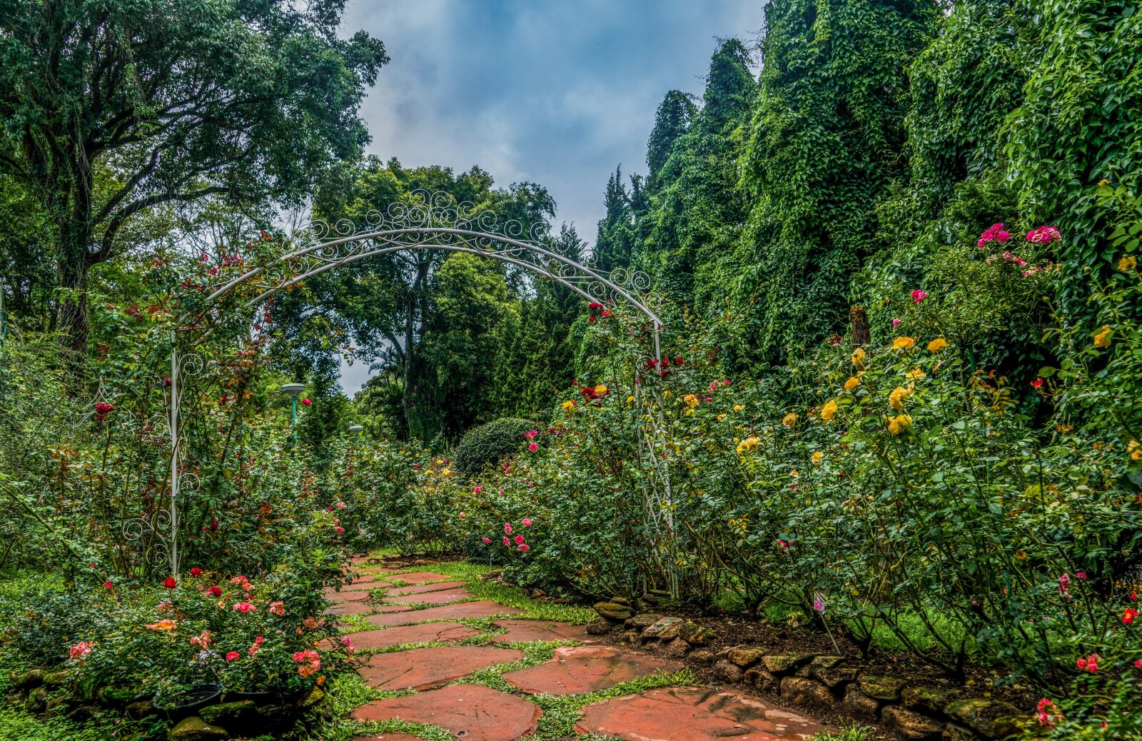 Sony a7R II + Sony FE 24-240mm F3.5-6.3 OSS sample photo. Botanical gardens, chiang mai photography