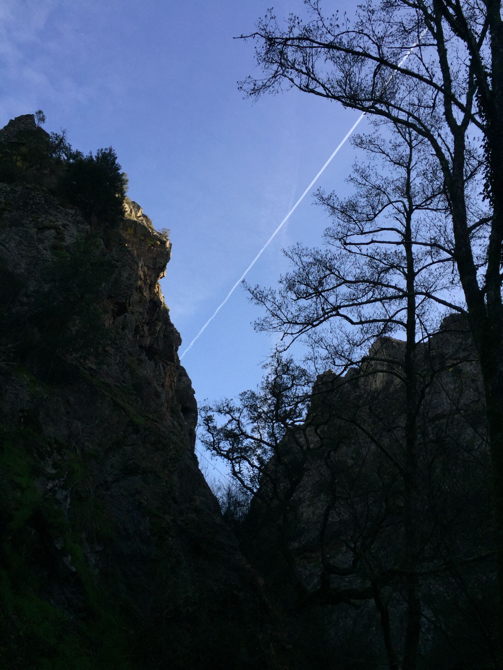 iPhone 6 Plus back camera 4.15mm f/2.2 sample photo. Cliffs, portugal, nature photography