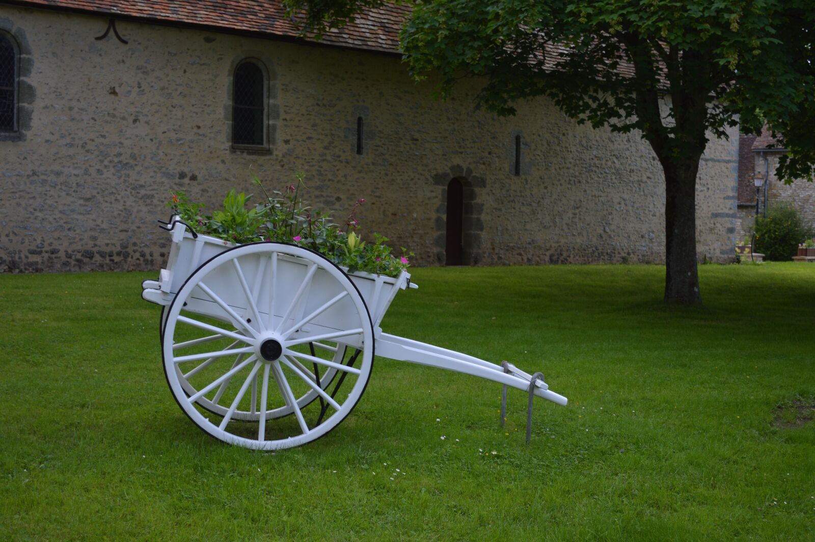 Nikon D3200 sample photo. Cart, garden, farm photography