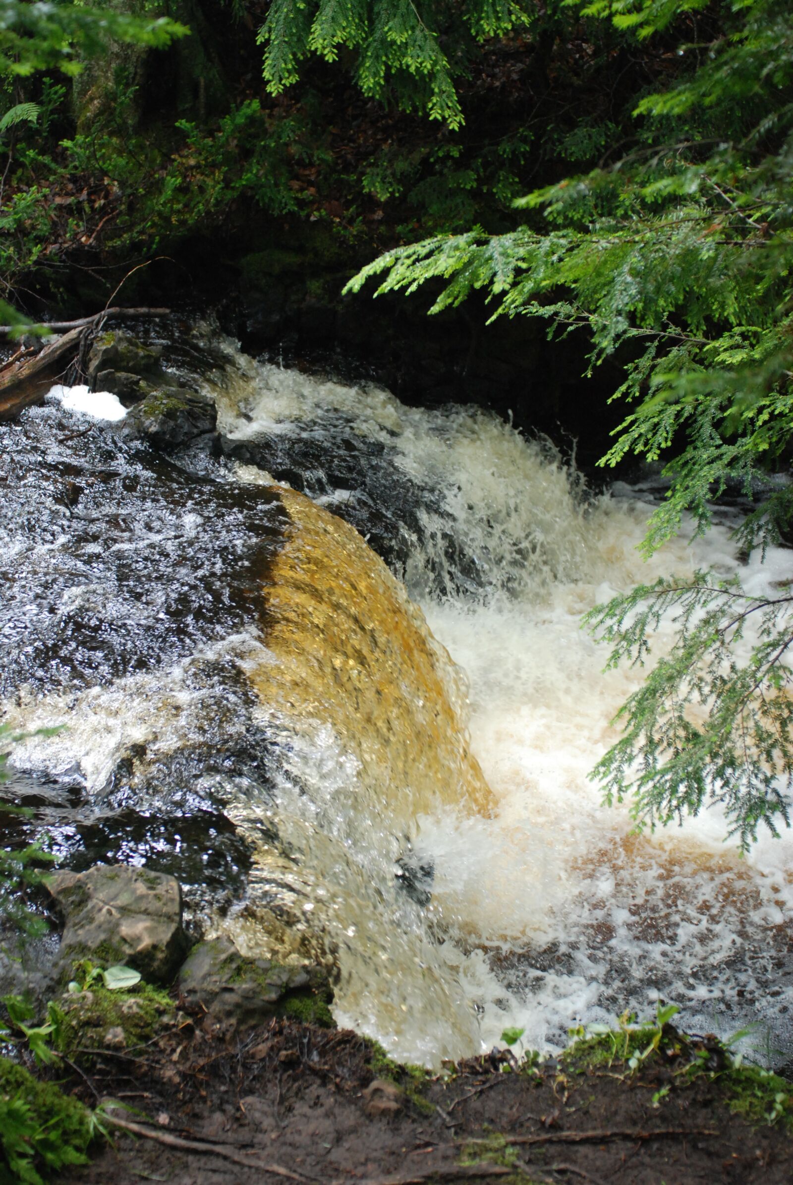 Nikon D80 sample photo. Creek, river, stream photography