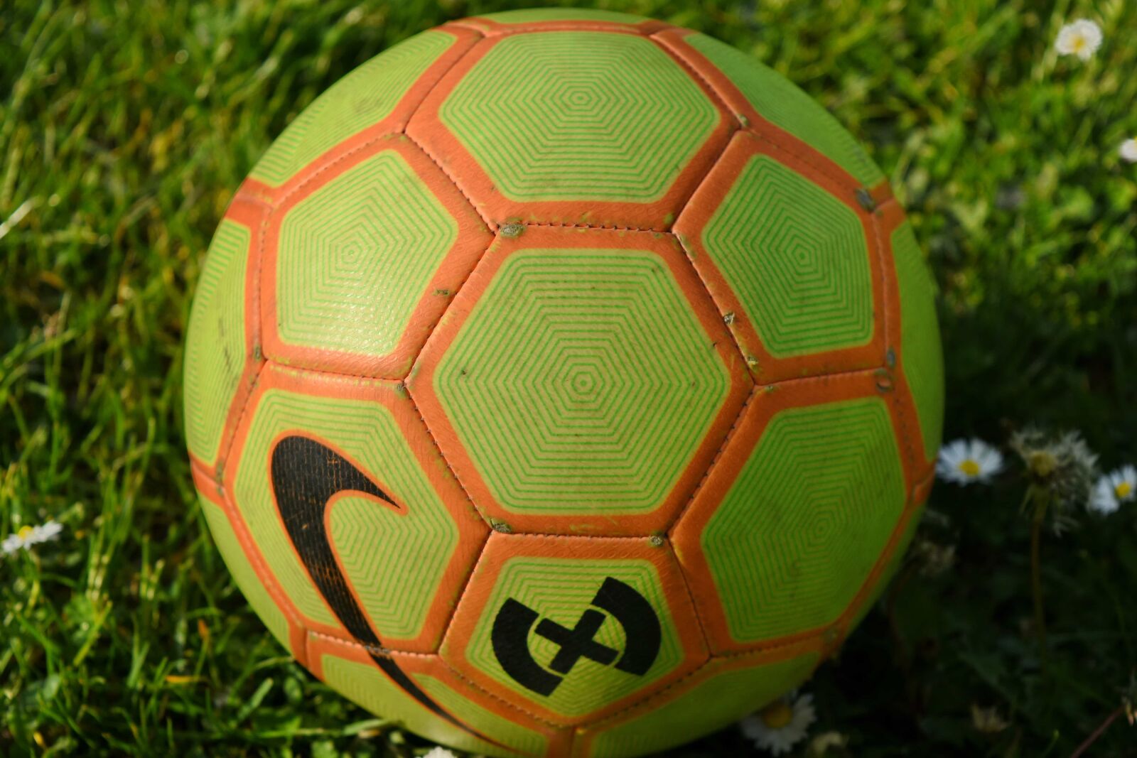 Nikon D5500 sample photo. Game, sport, soccer ball photography