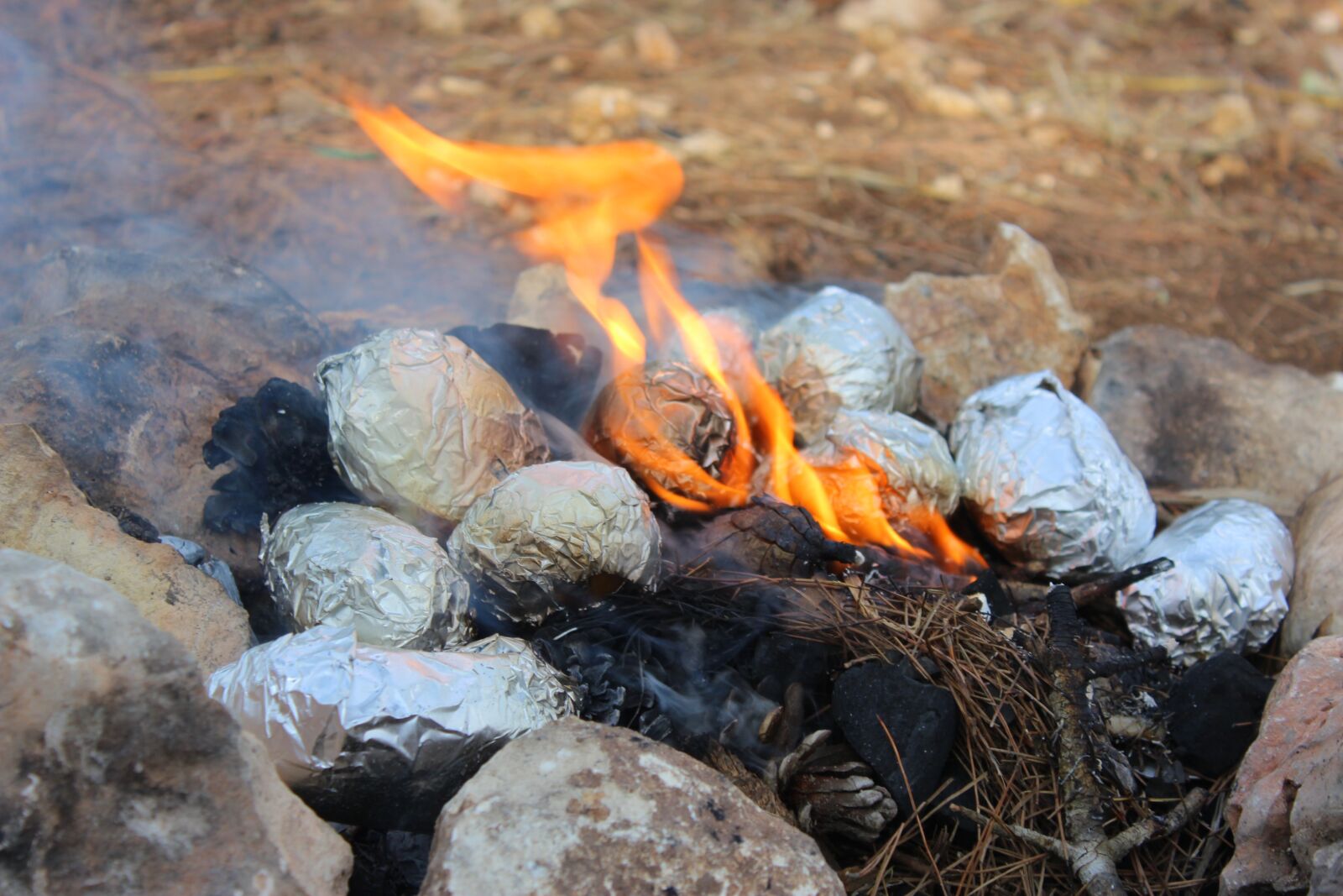 Canon EOS 600D (Rebel EOS T3i / EOS Kiss X5) sample photo. Fire, potatoes, bonfire photography