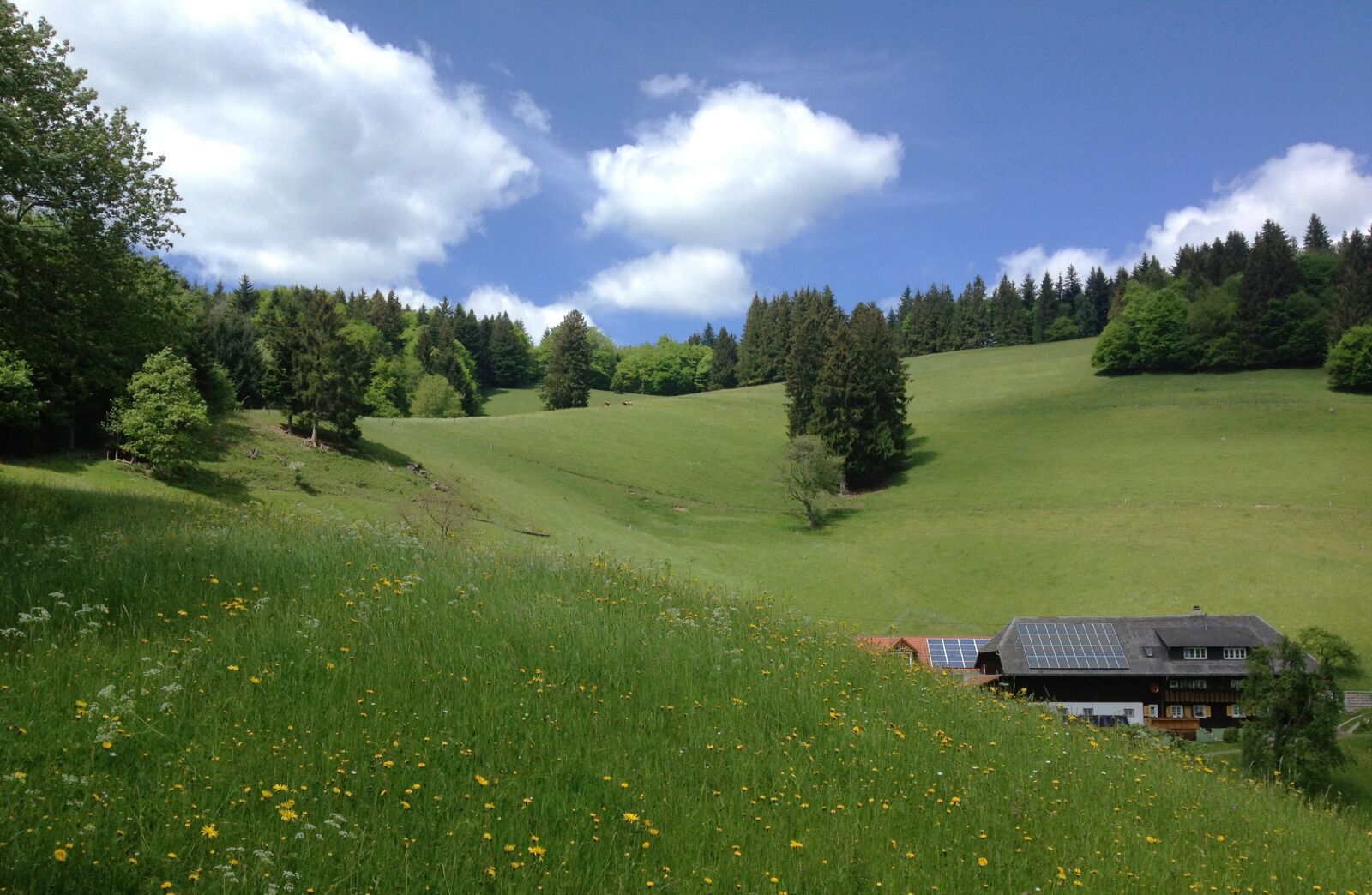 Apple iPhone 4S sample photo. Reported, mountains, m nster photography