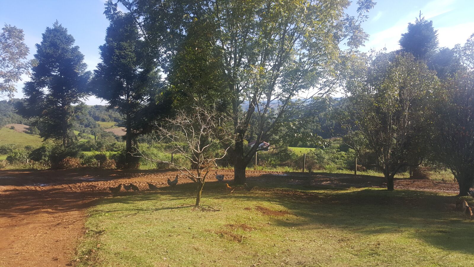Samsung GALAXY S6 edge sample photo. Nature, treze t lias photography