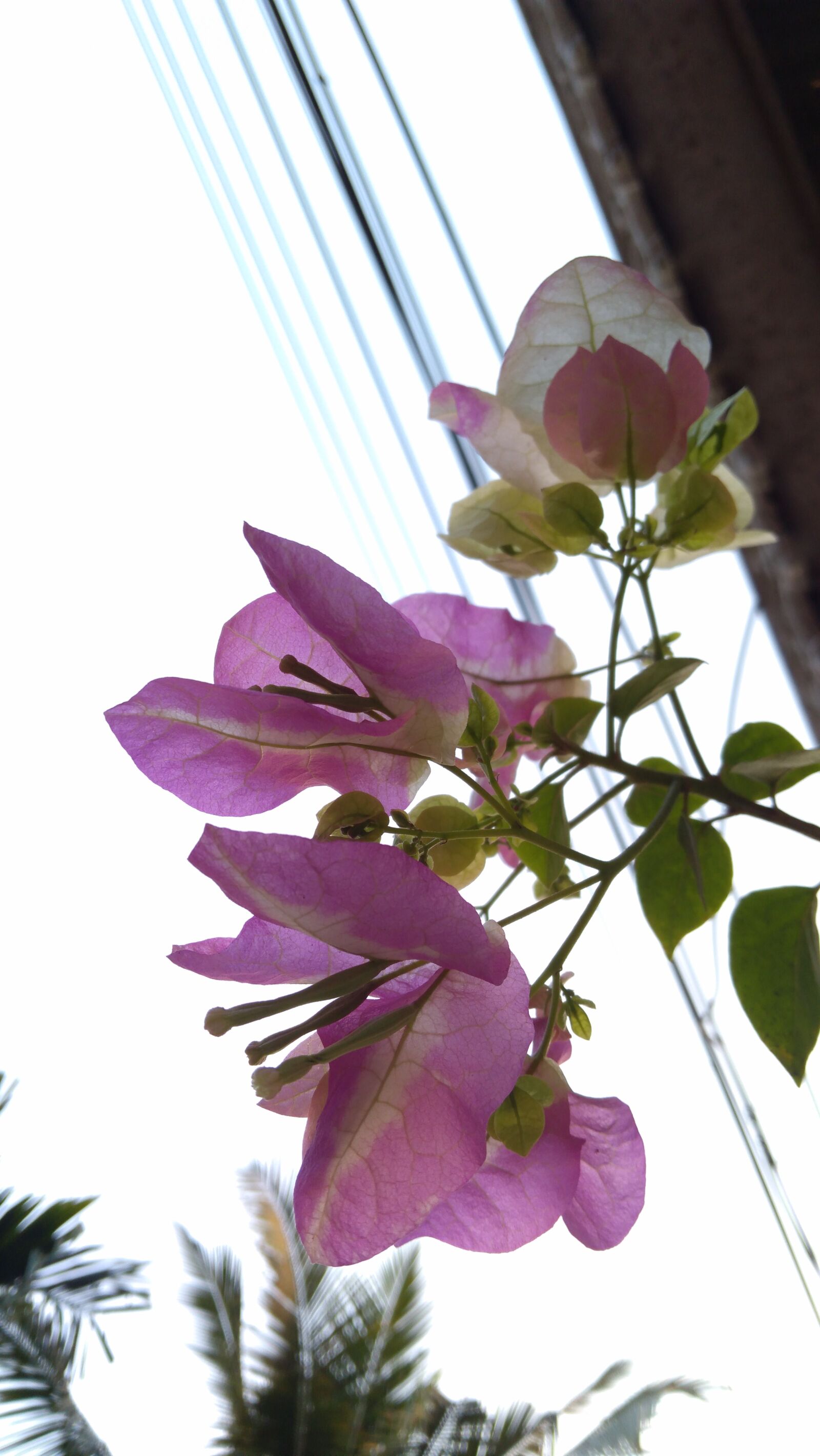 Lenovo K6 NOTE sample photo