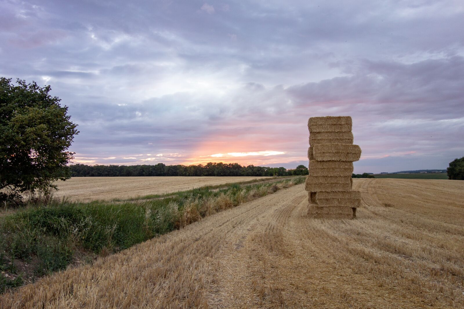 Sony Cyber-shot DSC-RX100 sample photo. Normandy, france, fields photography