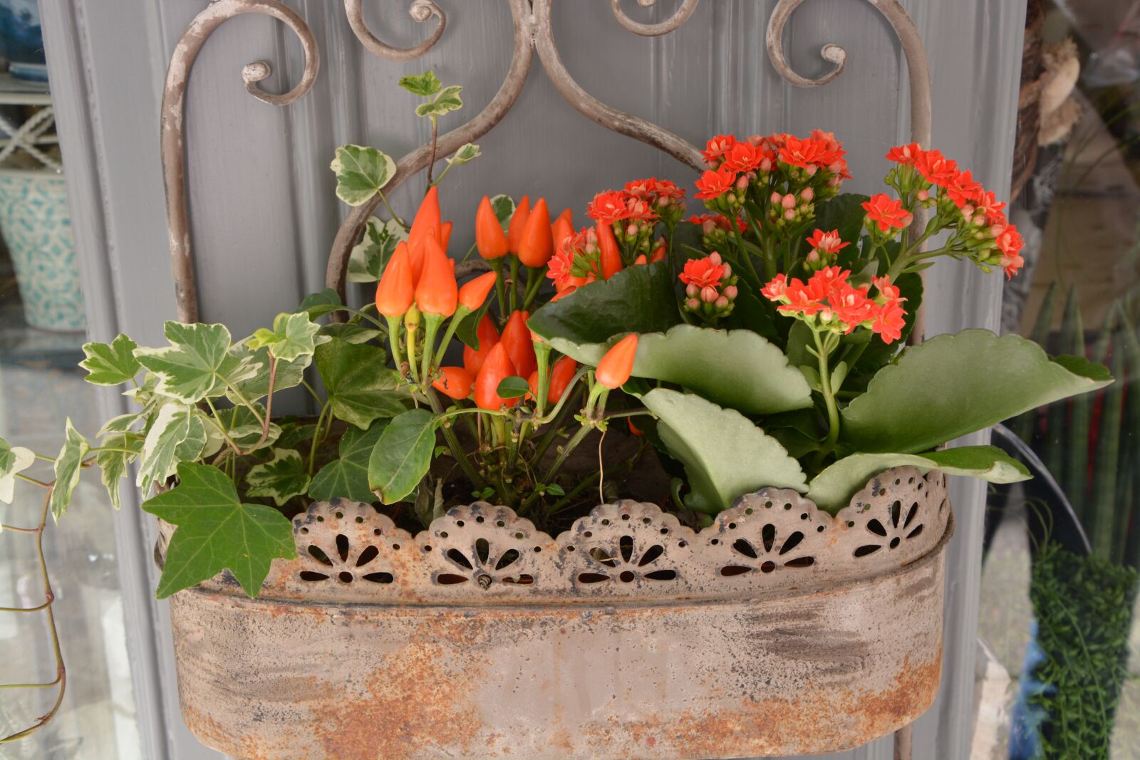 Nikon D5200 sample photo. Red flowers, plant, jardiniere photography