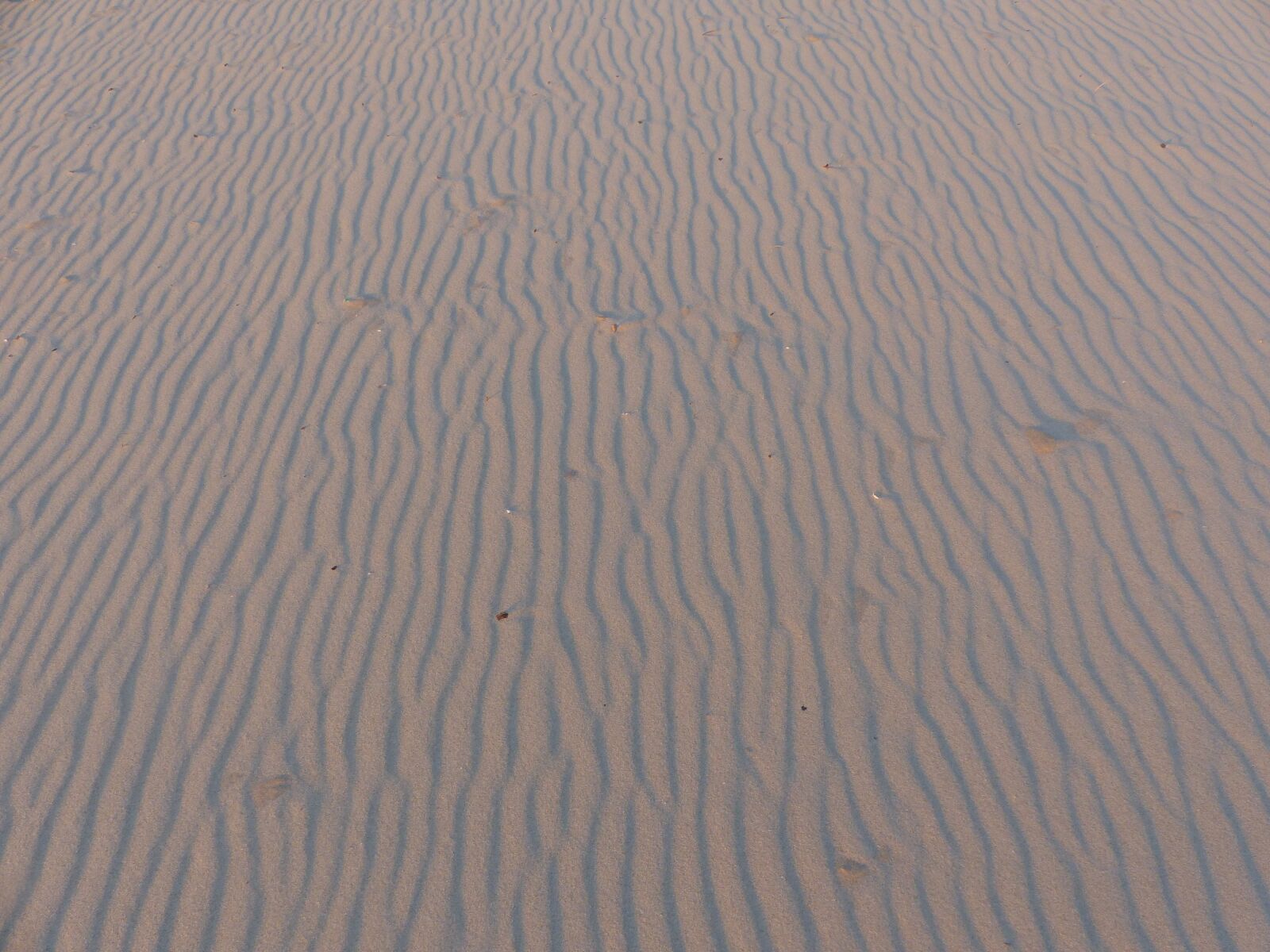 Panasonic Lumix DMC-FZ200 sample photo. Sand, beach, ocean photography