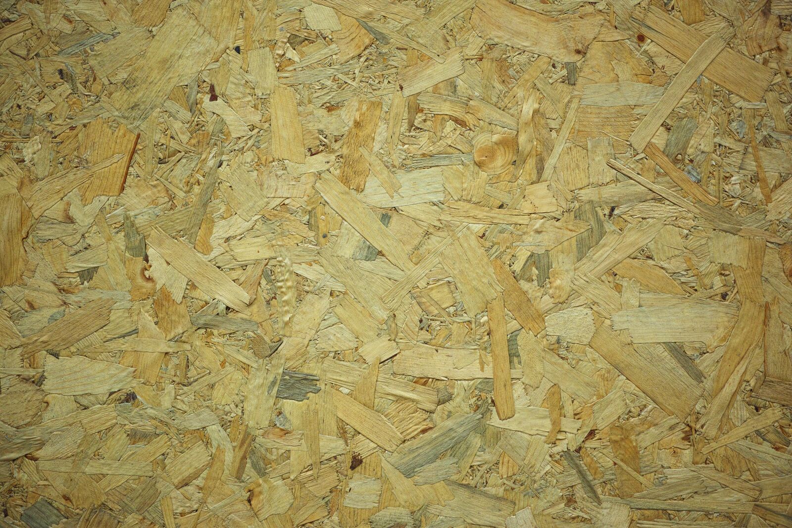 Sigma DP3 Merrill sample photo. Wood, timber, pattern photography