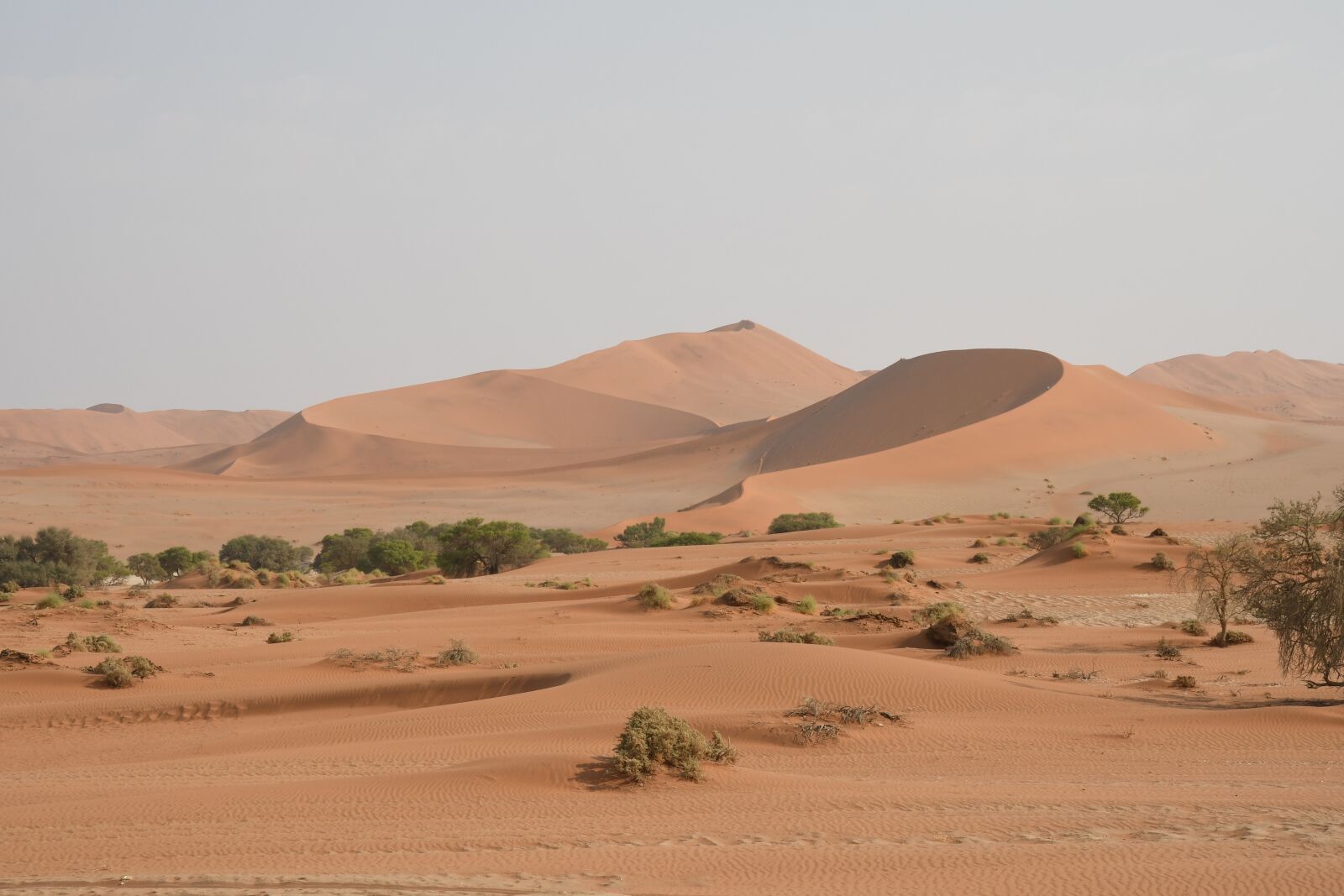 Nikon D500 sample photo. Landscape, desert, namibia photography