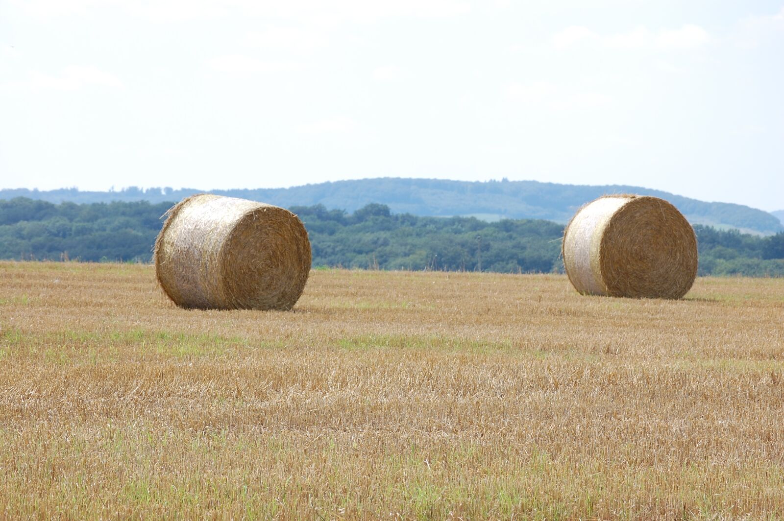 Nikon D40 sample photo. Summer, straw bales, agriculture photography