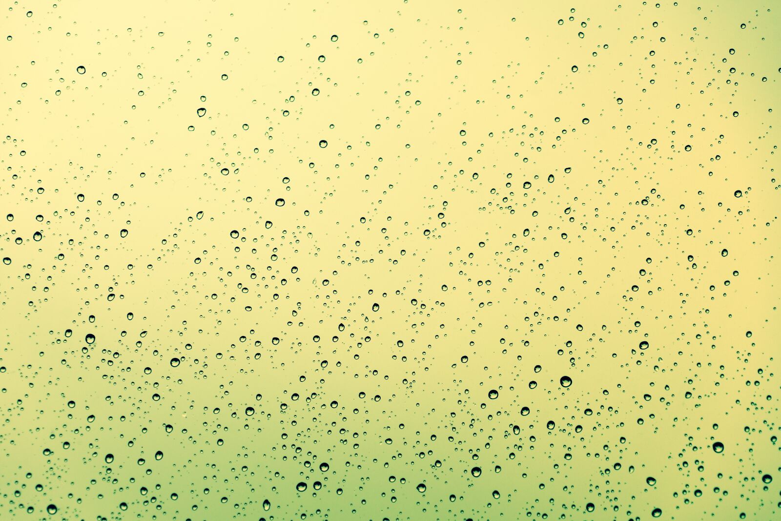 Sony a7 II + Sony FE 24-240mm F3.5-6.3 OSS sample photo. Drop of water, window photography