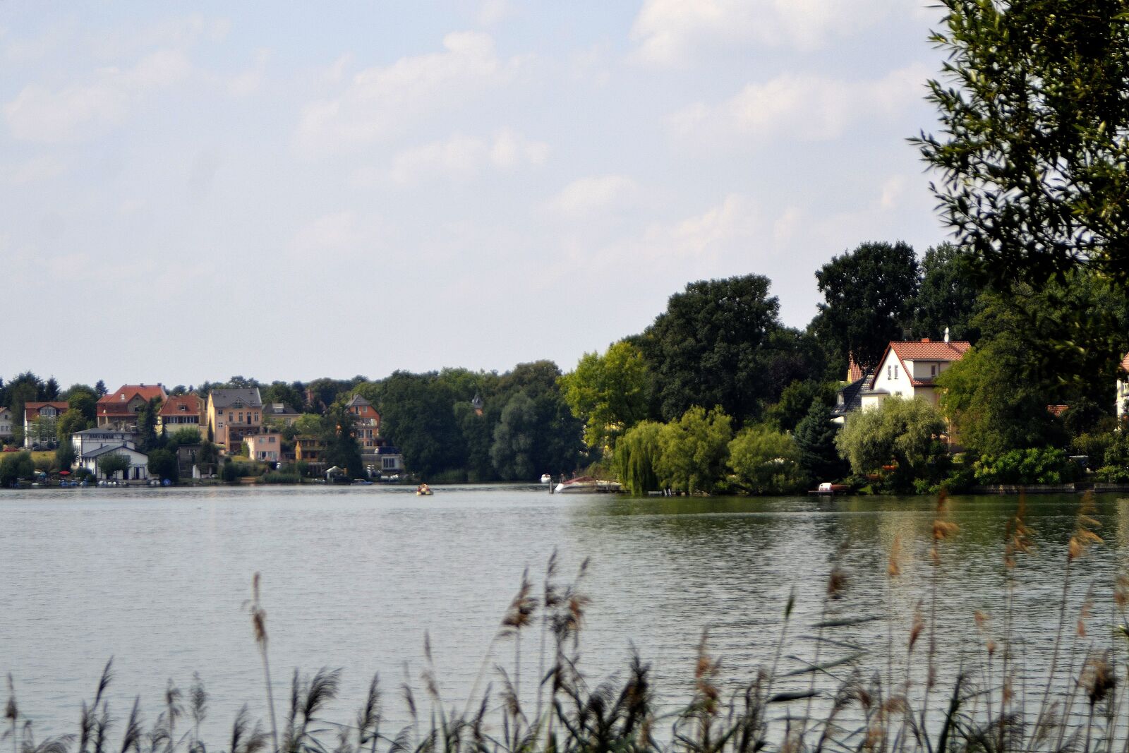 Nikon D3100 sample photo. Grünheide, brandenburg, nature photography