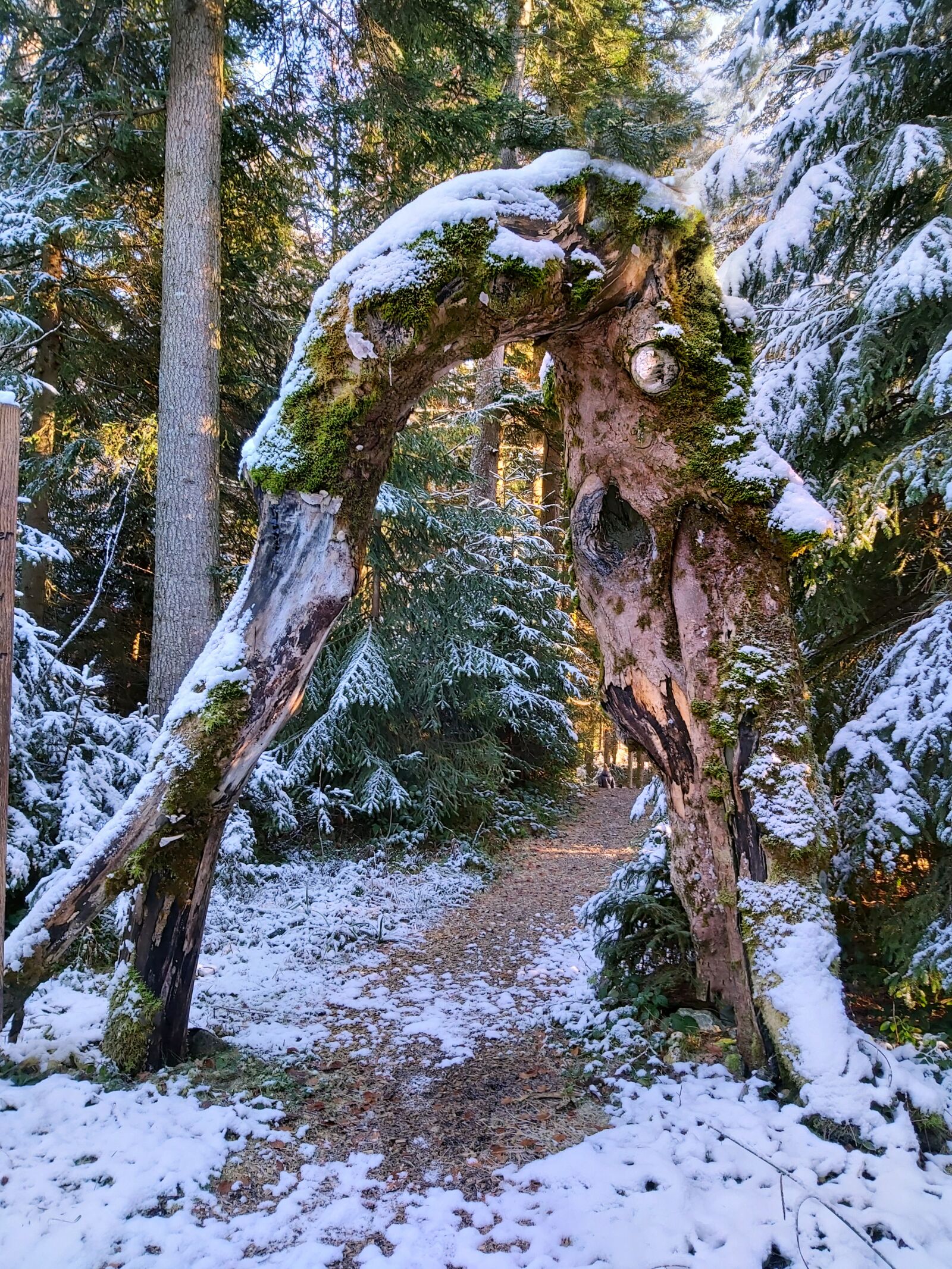 Samsung Galaxy A70 sample photo. Magic forest, fairytale, forest photography