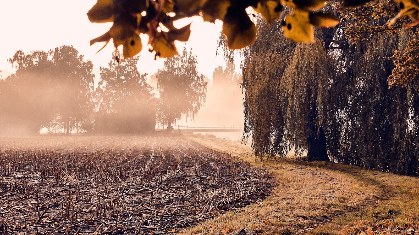 Sony a6300 sample photo. Autumn, fog, arable photography