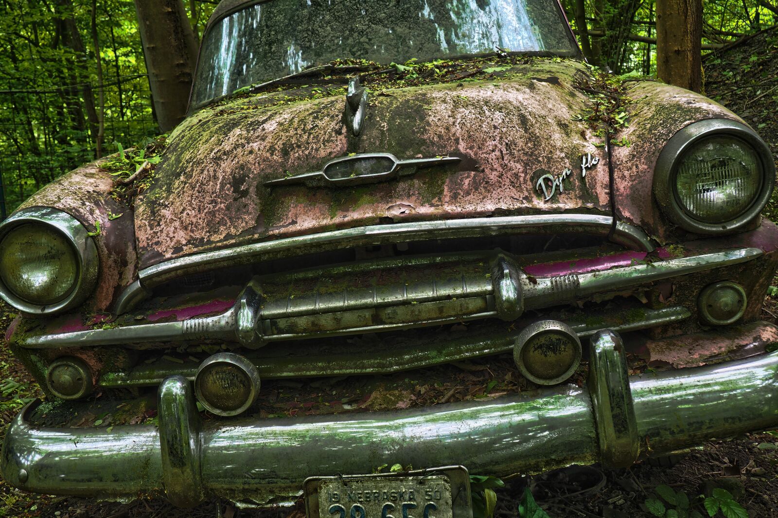 Olympus OM-D E-M10 sample photo. Auto, car cemetery, oldtimer photography