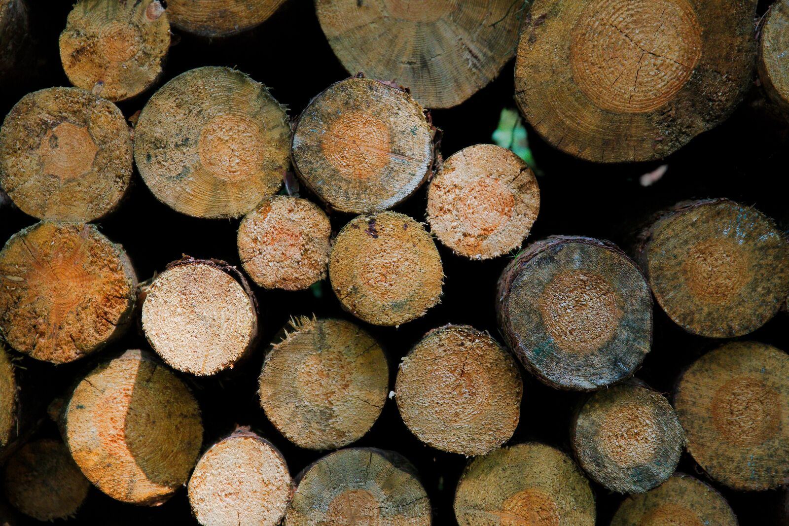 Canon EOS 6D sample photo. Background, close up, pile photography