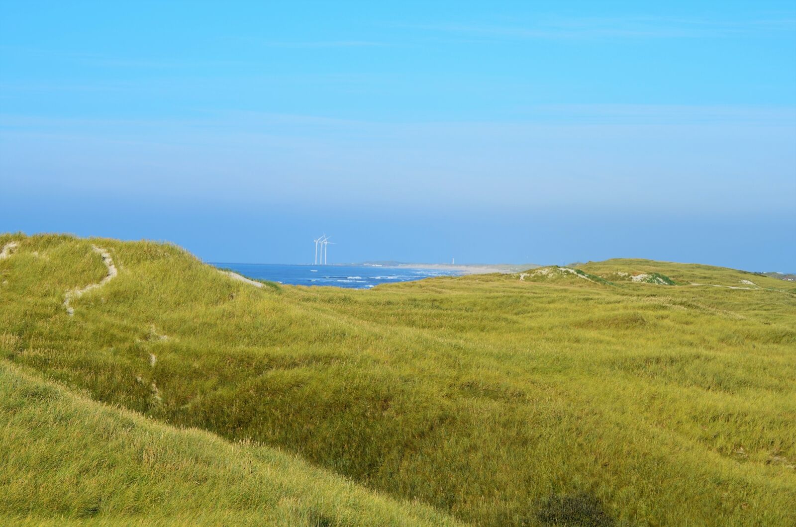 Nikon D5100 sample photo. Moor, beach, sea photography