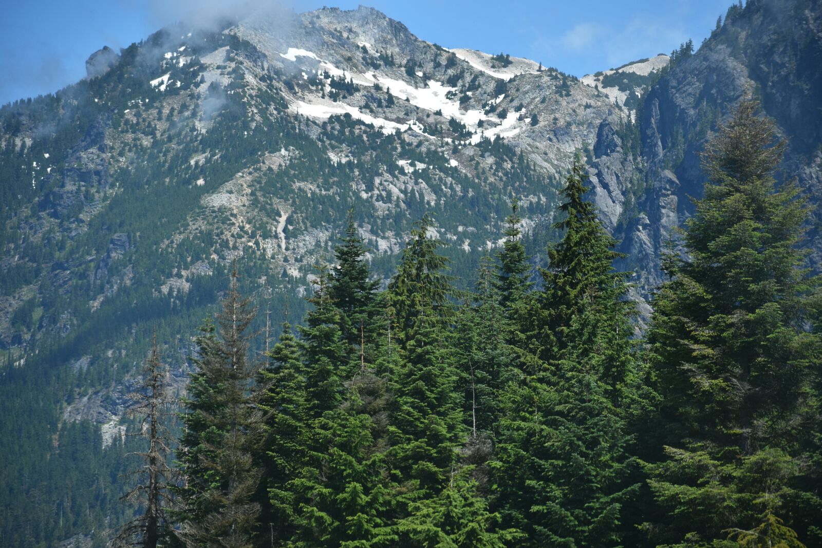 Nikon D3400 sample photo. Mountains, clouds, evergreen photography
