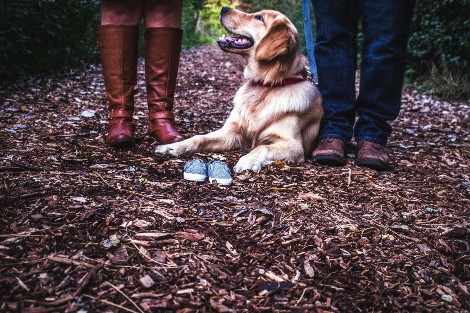Canon EOS 600D (Rebel EOS T3i / EOS Kiss X5) sample photo. Dog, boots, shoes, man photography