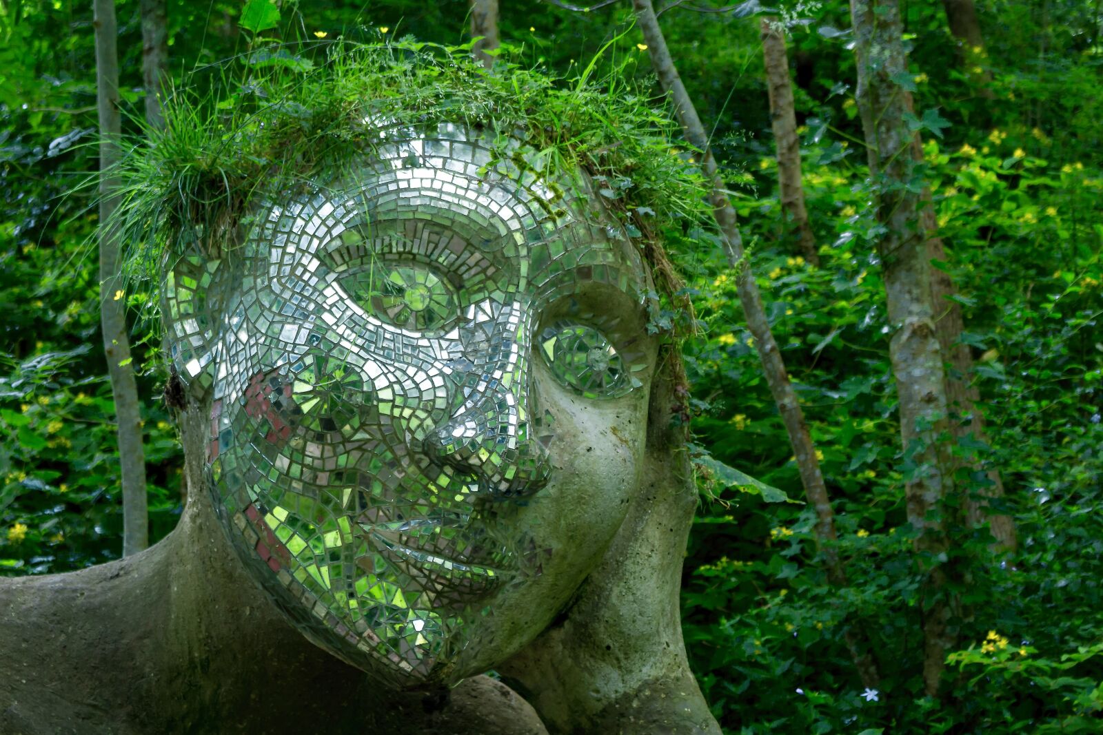Canon EOS 700D (EOS Rebel T5i / EOS Kiss X7i) sample photo. Sculpture, plant, mirror photography