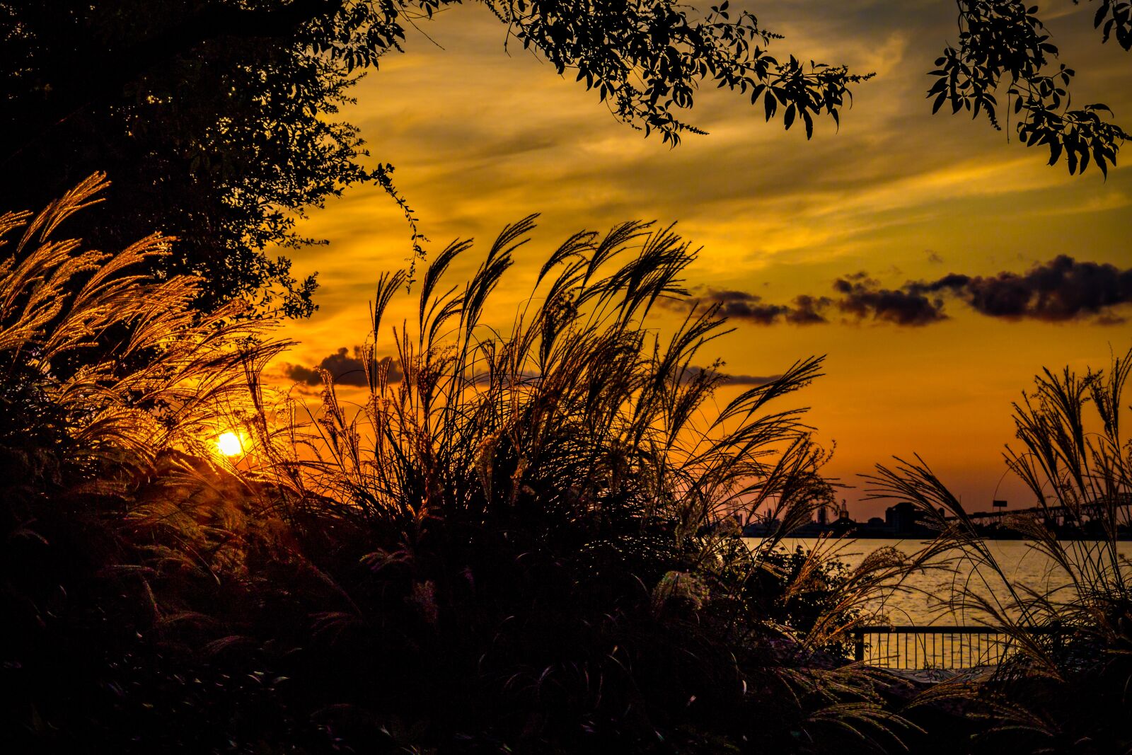 Canon EF 24-105mm F3.5-5.6 IS STM sample photo. Sunset, water, orange photography