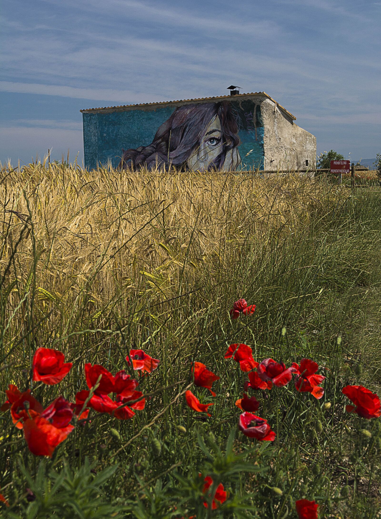 Nikon D7100 sample photo. Graffiti, house, painting photography