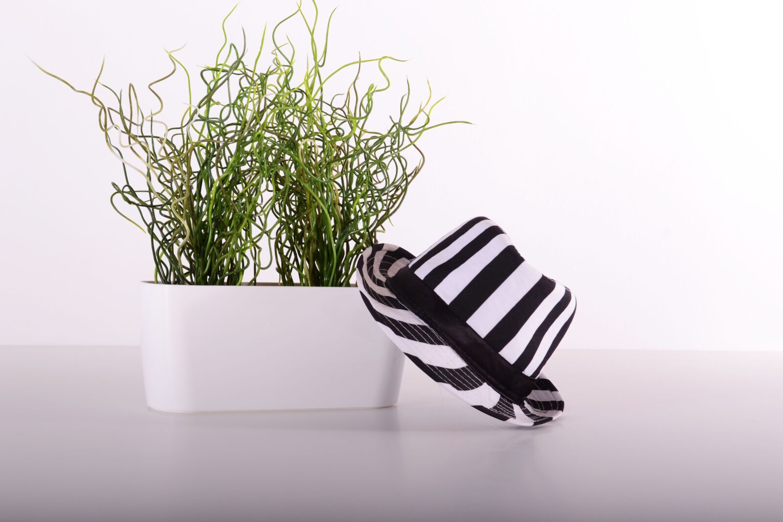 Nikon D3100 sample photo. Plants, flowerpots, green photography