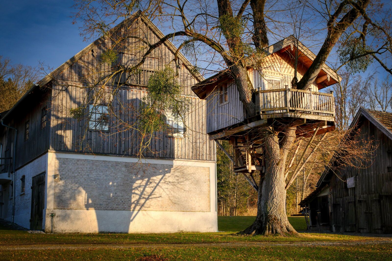 Panasonic Lumix DC-G90 (Lumix DC-G91) sample photo. Treehouse, barn, farm photography