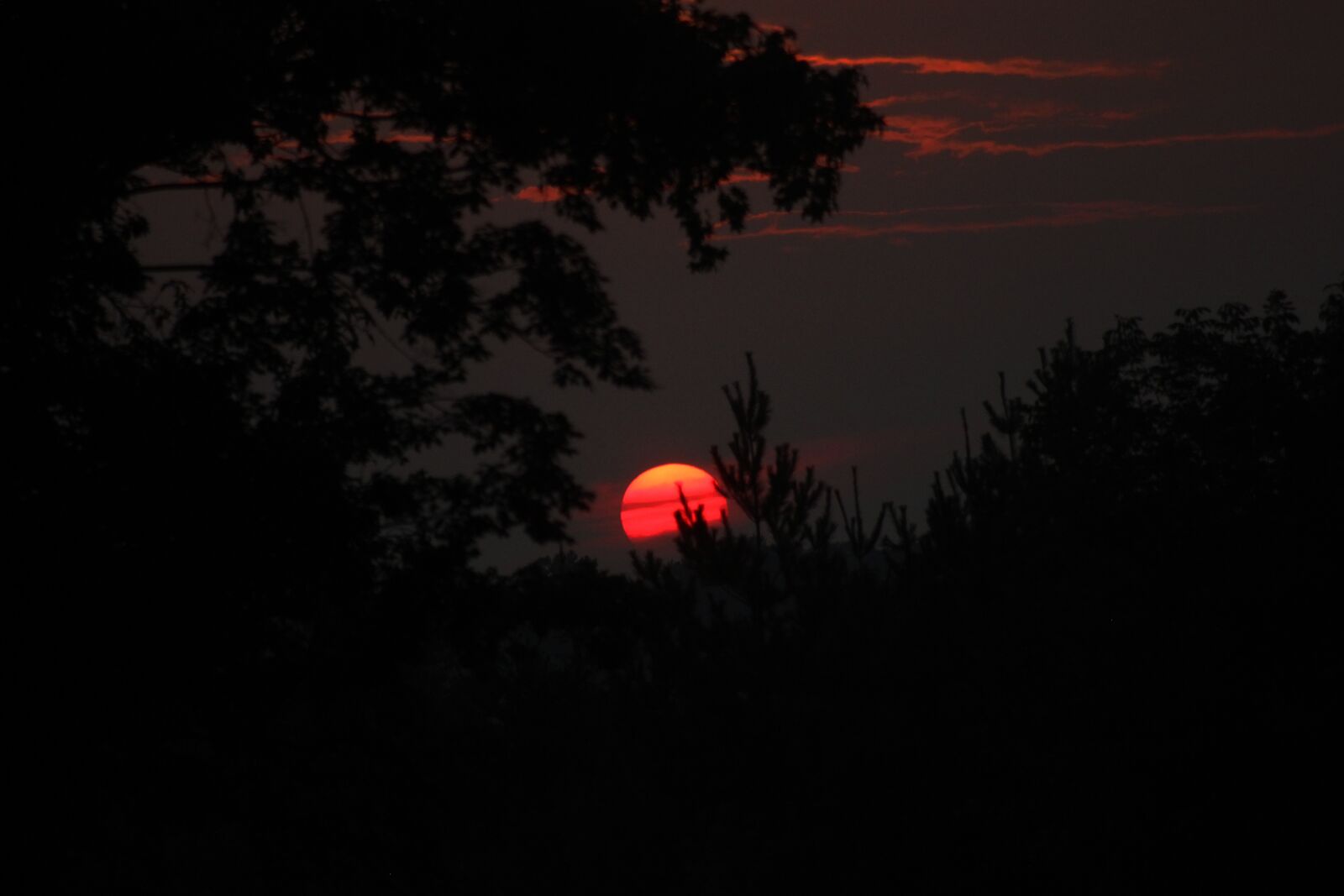 Canon EOS 550D (EOS Rebel T2i / EOS Kiss X4) sample photo. Sunset, summer sunset, dark photography