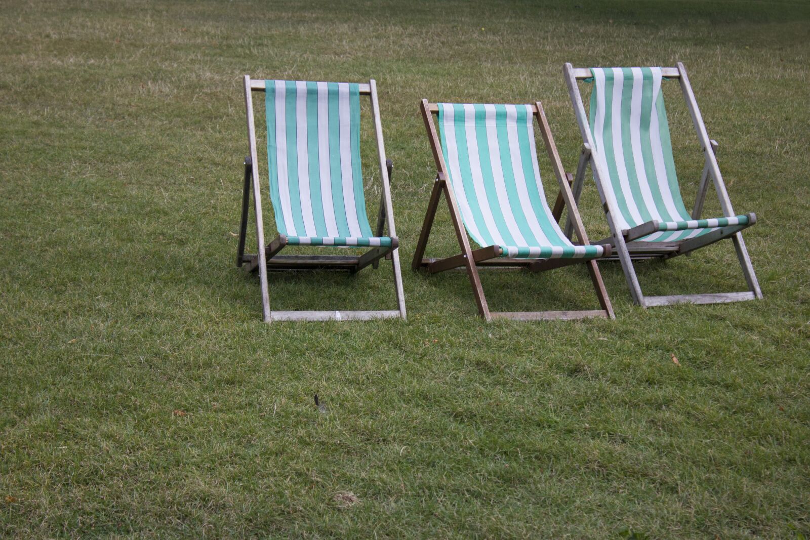Canon EOS 550D (EOS Rebel T2i / EOS Kiss X4) sample photo. Park, london, gita photography