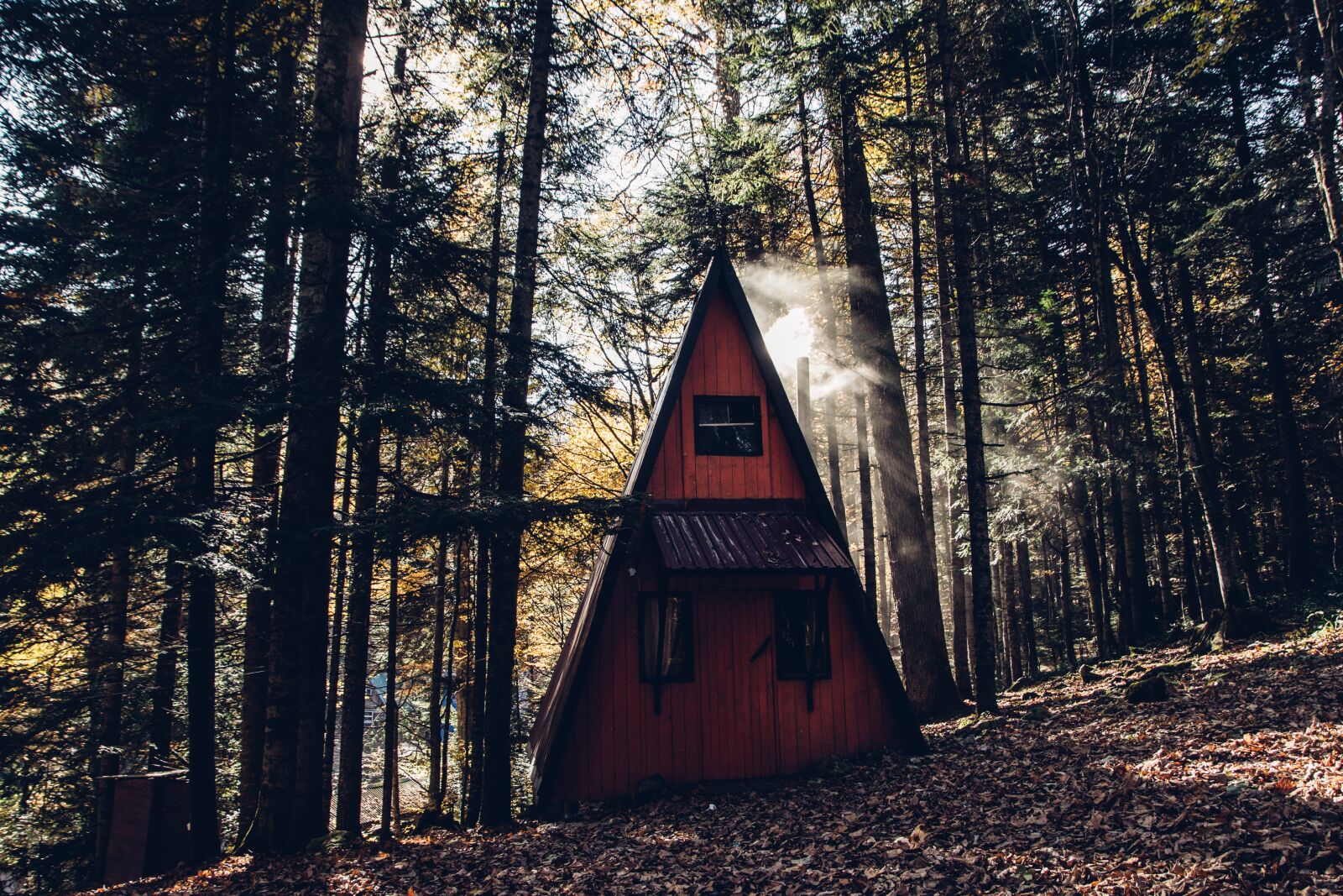 Nikon D800 sample photo. House, forest, smoke photography