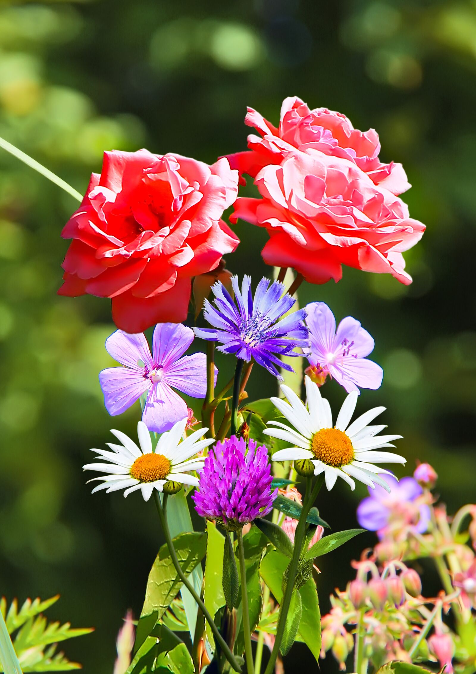 Canon EOS 7D sample photo. A large bouquet, installation photography