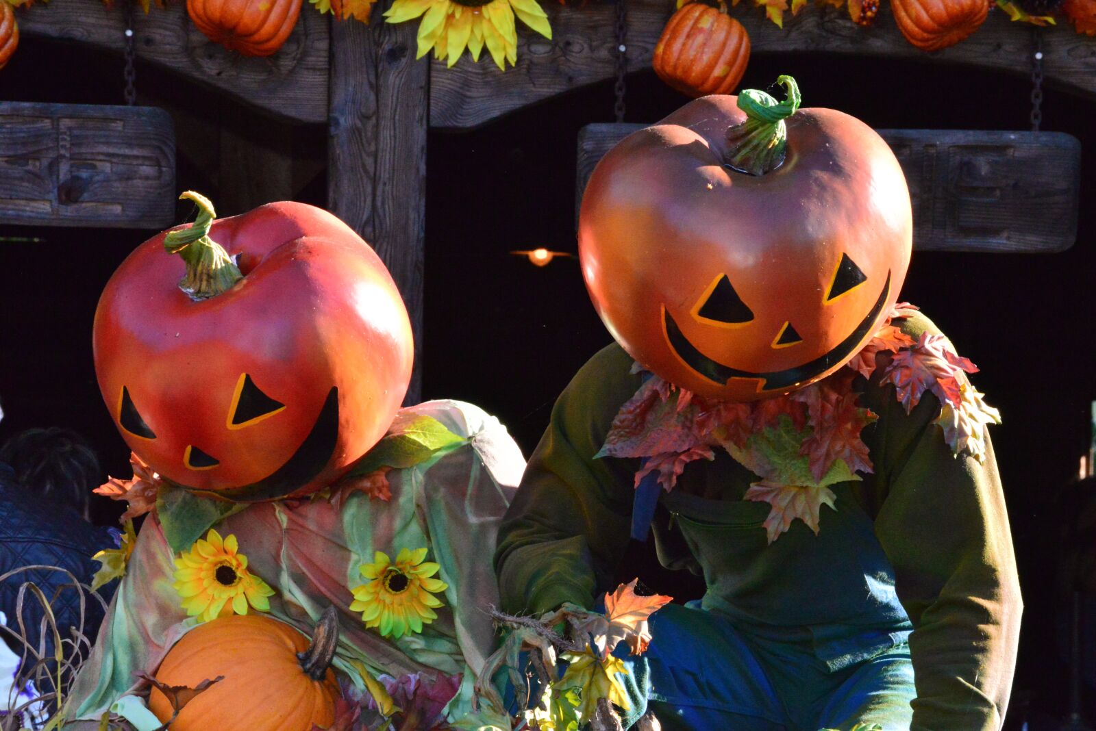 Nikon D610 sample photo. Halloween, characters, pumpkins photography