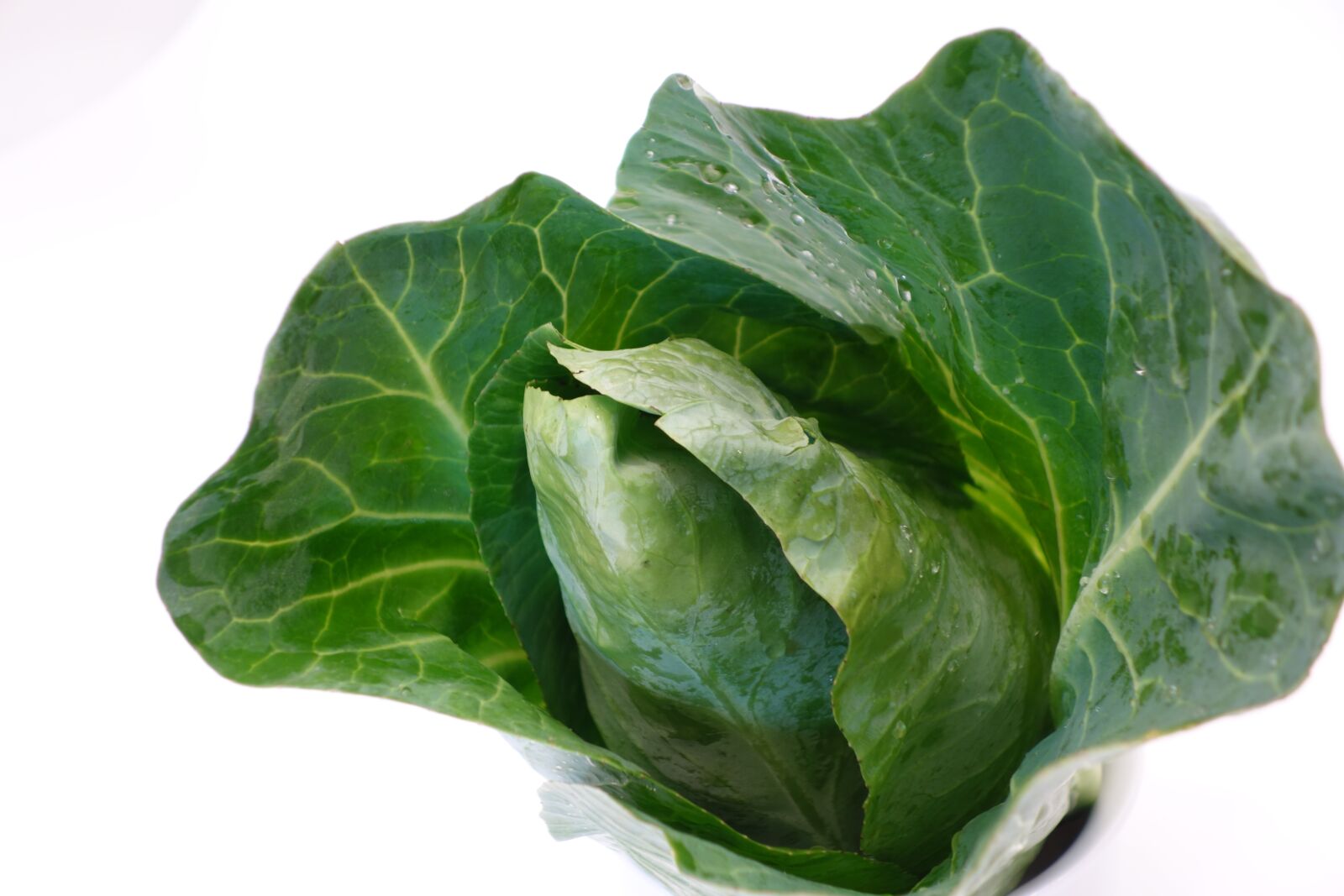 Sony Cyber-shot DSC-RX100 II sample photo. Pointed cabbage, kohl, food photography