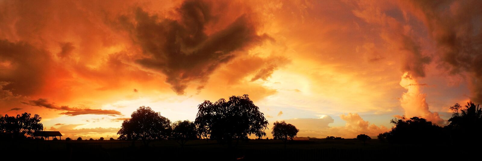 Nikon Coolpix P500 sample photo. Sunset, nature, plain photography