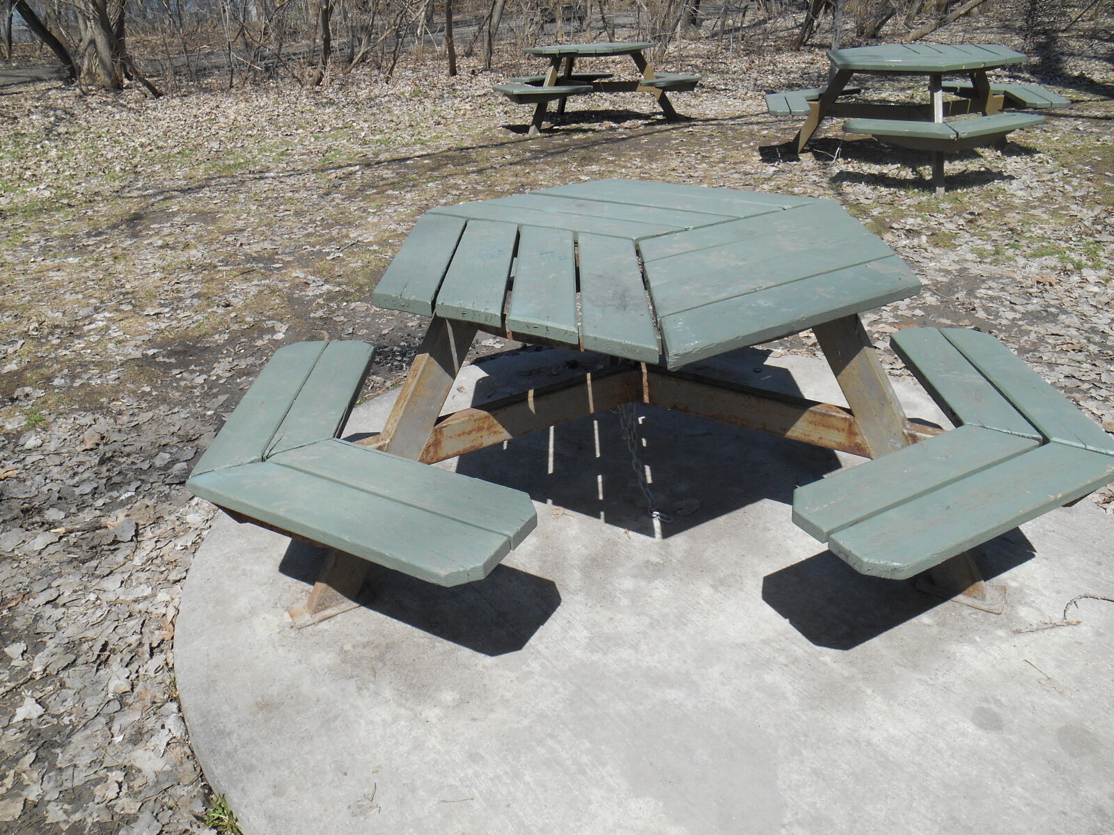 Nikon Coolpix S3500 sample photo. Banc, bank, gazon, green photography