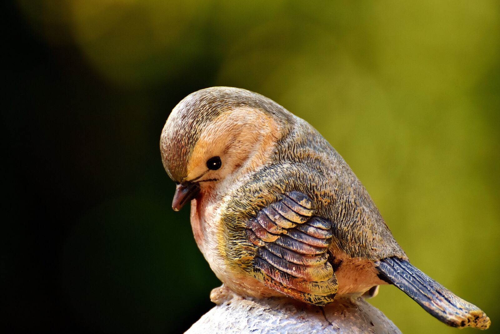 Nikon D7200 sample photo. Bird, figure, stone photography