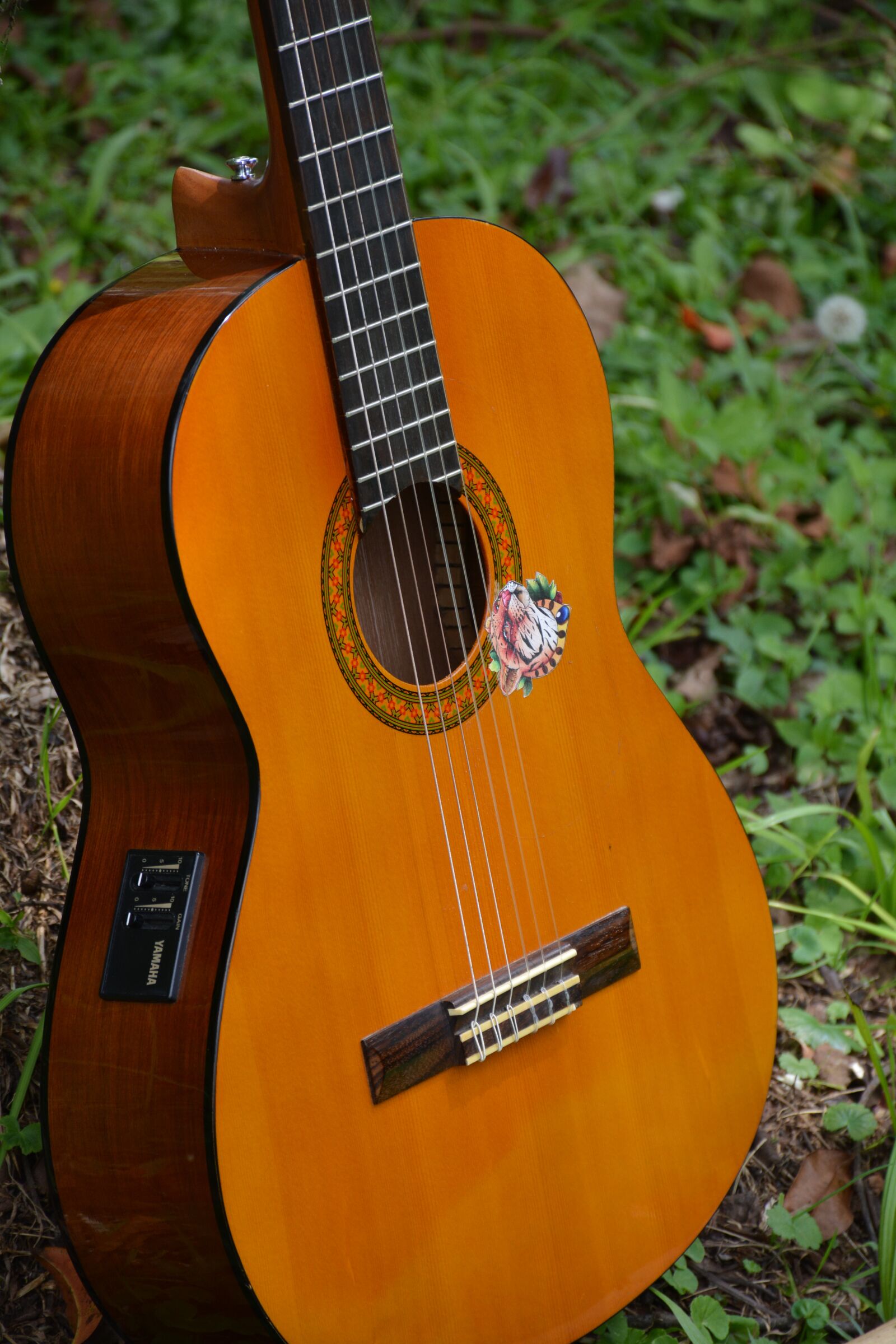 Nikon D5200 sample photo. Guitar, ropes, music photography