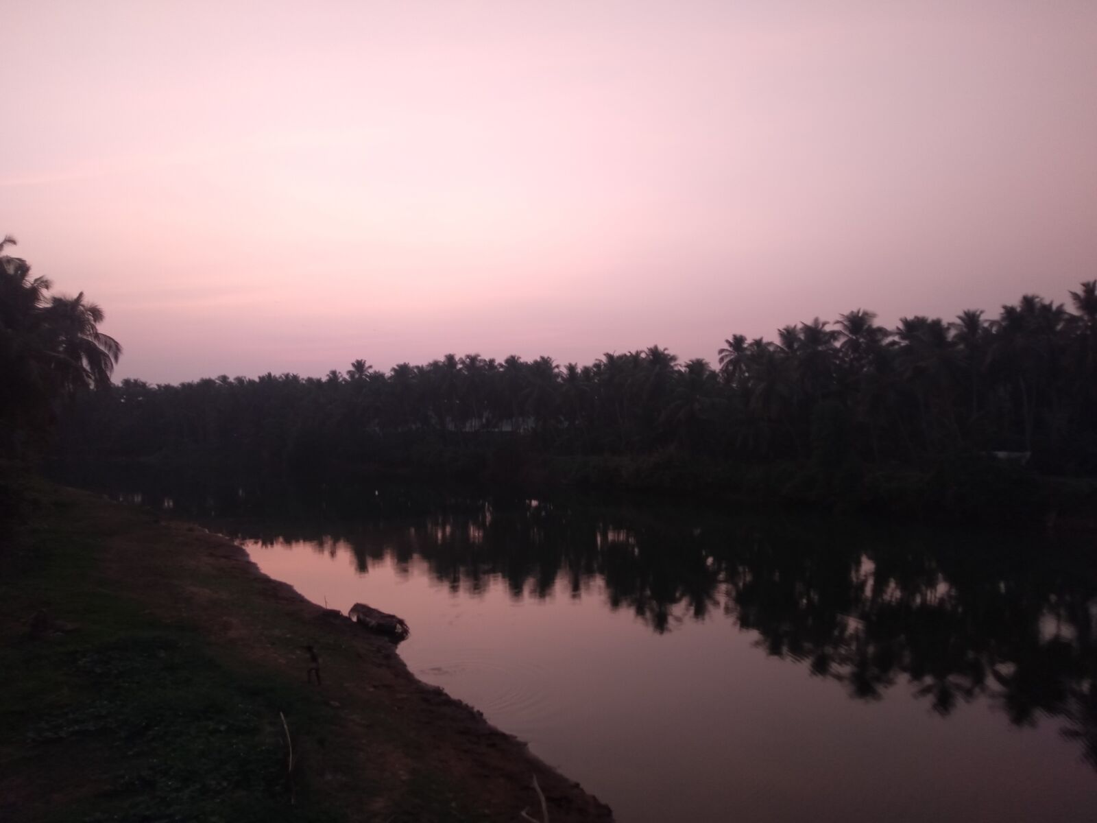 OPPO A7 sample photo. Kerala, sunset, river photography