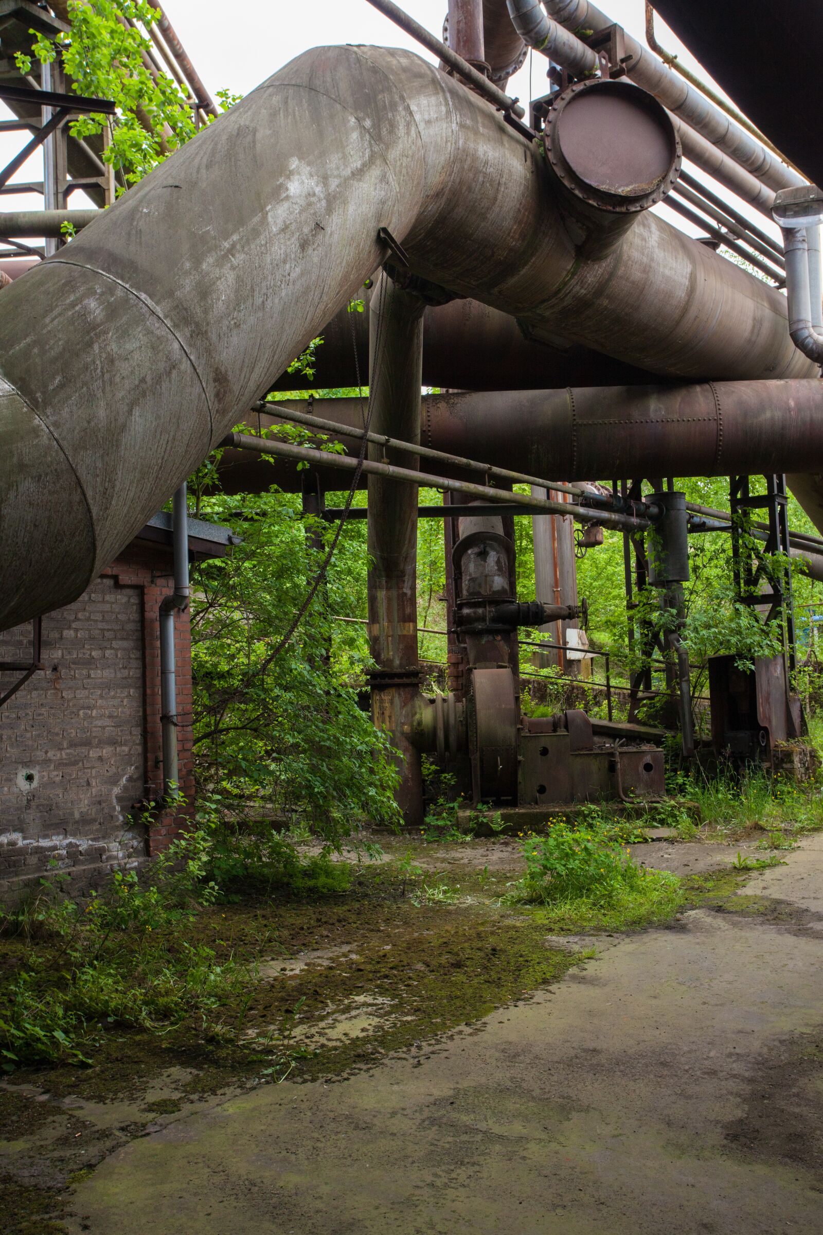 Canon EOS 5D Mark II + Canon EF 17-40mm F4L USM sample photo. Steel mill, industry, nature photography